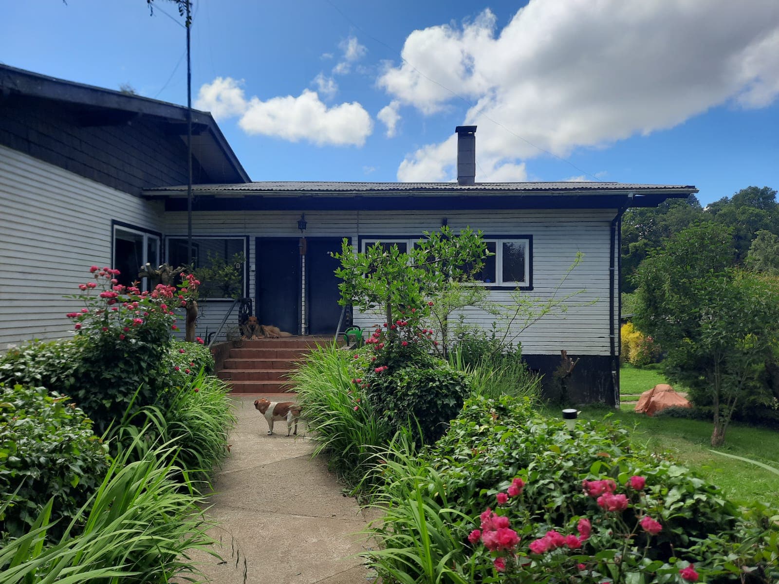 Casa Helmrich Von Elgott - HVE